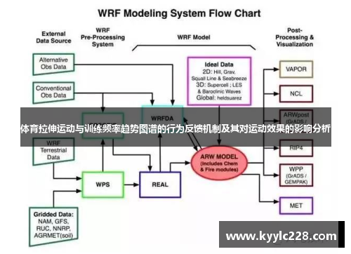 体育拉伸运动与训练频率趋势图谱的行为反馈机制及其对运动效果的影响分析